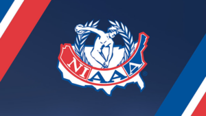 NIAAA Logo